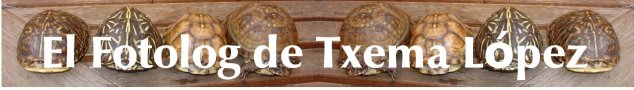 El fotolog de TxemaLopez