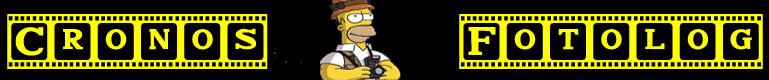  simpsons 