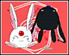 [ Mokona modoki ]