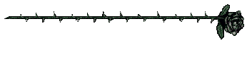 Lucrecia Reflex